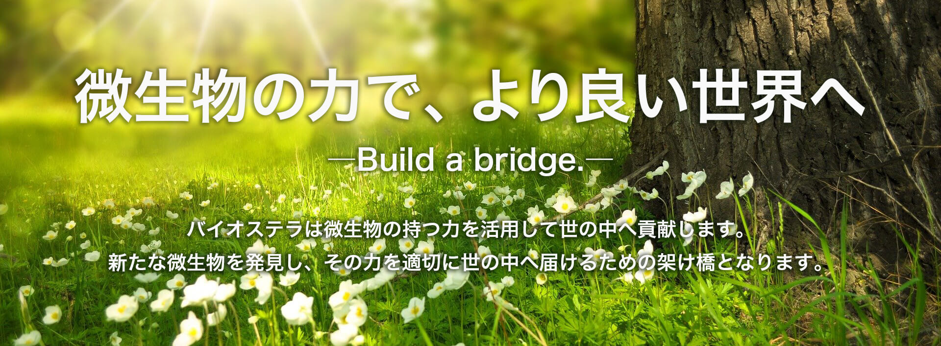 微生物の力で、より良い世界へ-Build a bridge.-